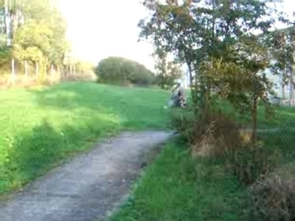 GIO thump 125