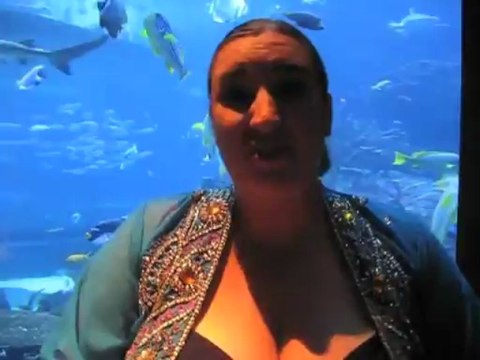 QC Seminars Scam - NLP Travel Series: Dubai PT 2