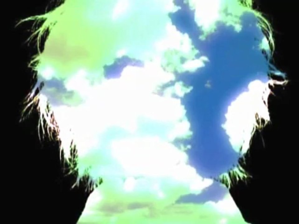 COIL／BIRDS