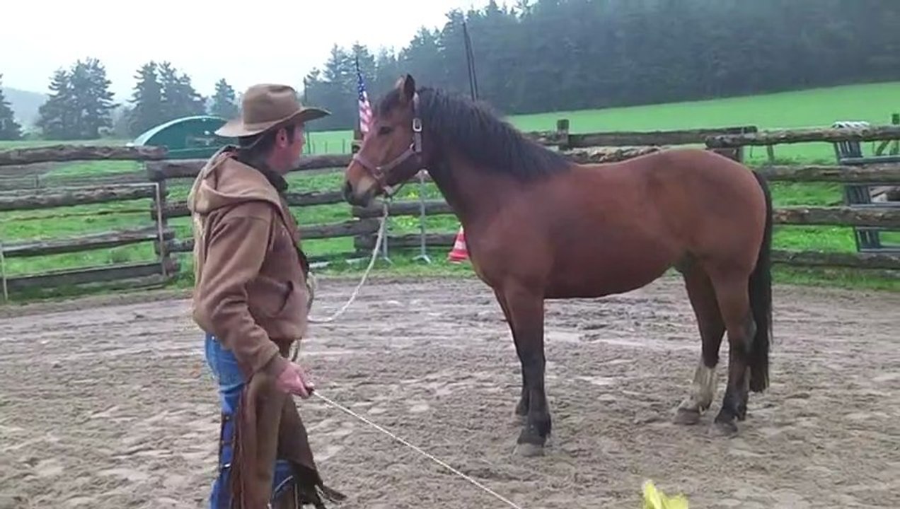 Stage éthologie par Franck Brun