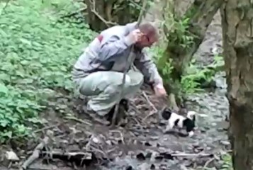 Bacchus et Thor qui apprennent à affronter les obstacles en forêt