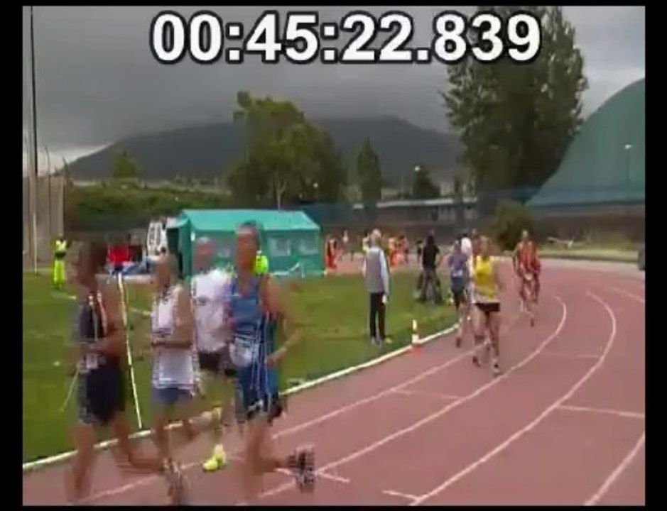 CERCOLA2013