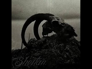 Sheitan Darkside ( hardcore beatdown )