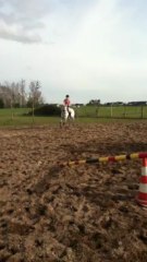 Mars 2013. Orckidée, saut des plots.