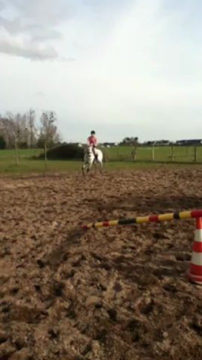 Mars 2013. Orckidée, saut des plots.