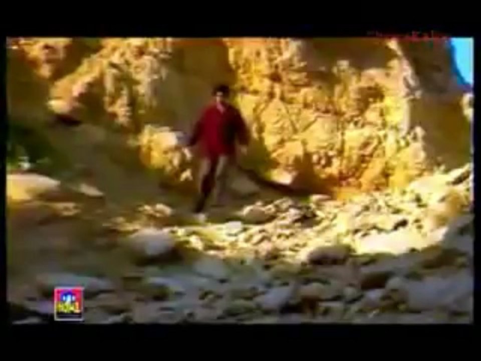 NASEEBO LAL - Tu Jado Da Tur Pardais Gayioo.flv