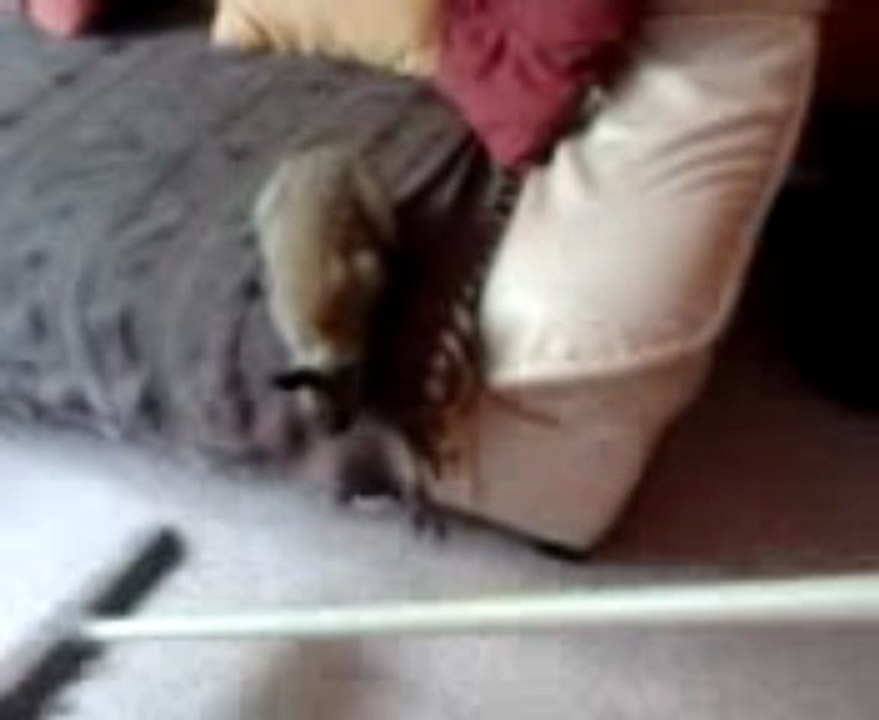 video-2013-05-19-09-44-29