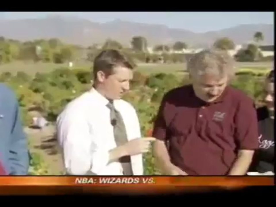 Rob stone vs. Nmsus chile peppers