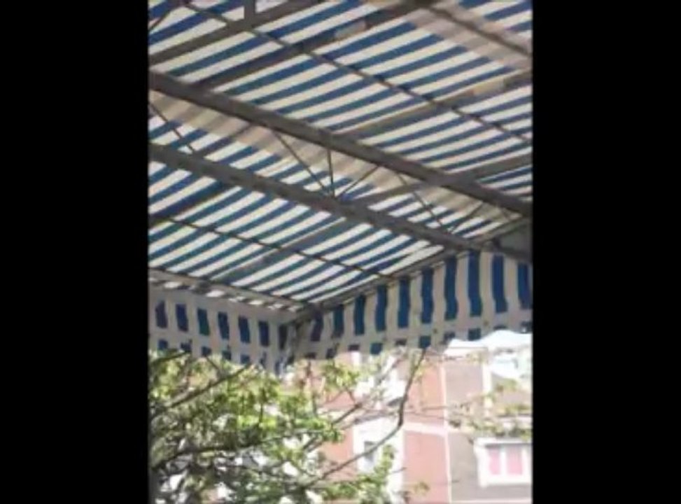 Alan King Sosie D'elvis Presley