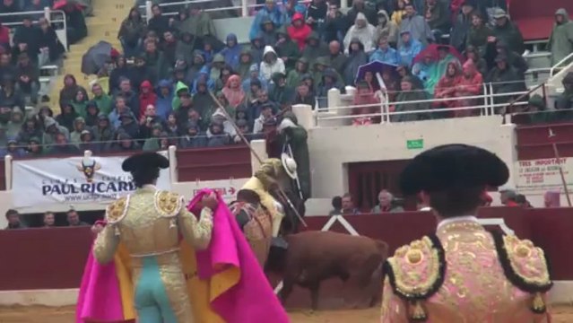 VIC-FEZENSAC : CORRIDA DU 19 MAI 2013 APRES-MIDI