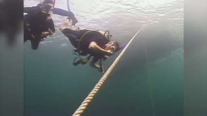 SSI Open Water Teil 3 Part 1