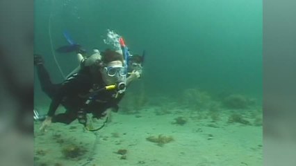 SSI Open Water Teil 5 Part 2