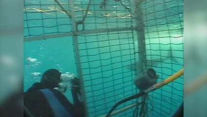 SSI Open Water Teil 5 Part 4