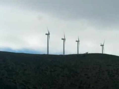 Survey And Profits Life Time Pass - Full And Immediate Access (view mobile) | Survey And Profits Life Time Pass - Full And Immediate Access (view mobile)