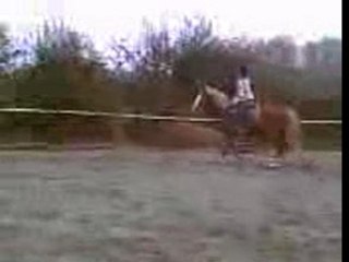 Lilou & kalimero 3