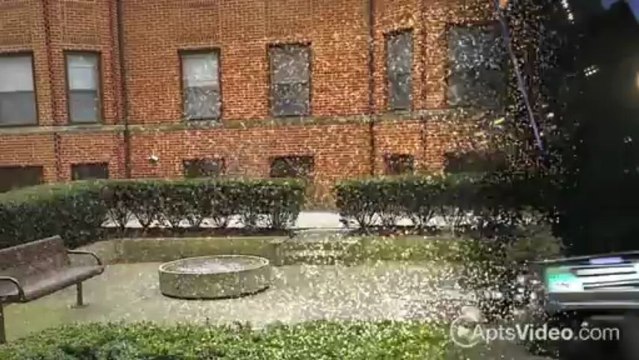 Astoria Properties Apartments in Chicago, IL - ForRent.com