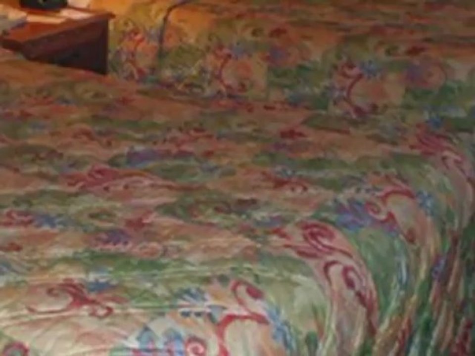 quality suites  seaworld