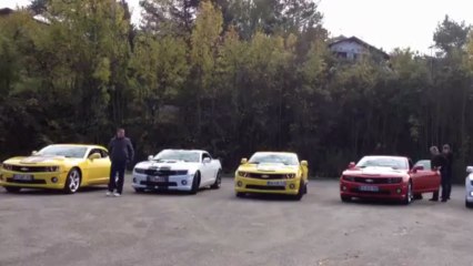 Sortie Camaro Alsace 3