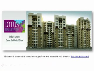 Lotus Boulevard,Lotus Boulevard Noida,9910003520,3c Lotus Boulevard,3c Lotus Boulevard Noida