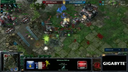 Gigabyte Pro League -EN- Qualifier #1 Day 1 Goswser - Dayshi game 3