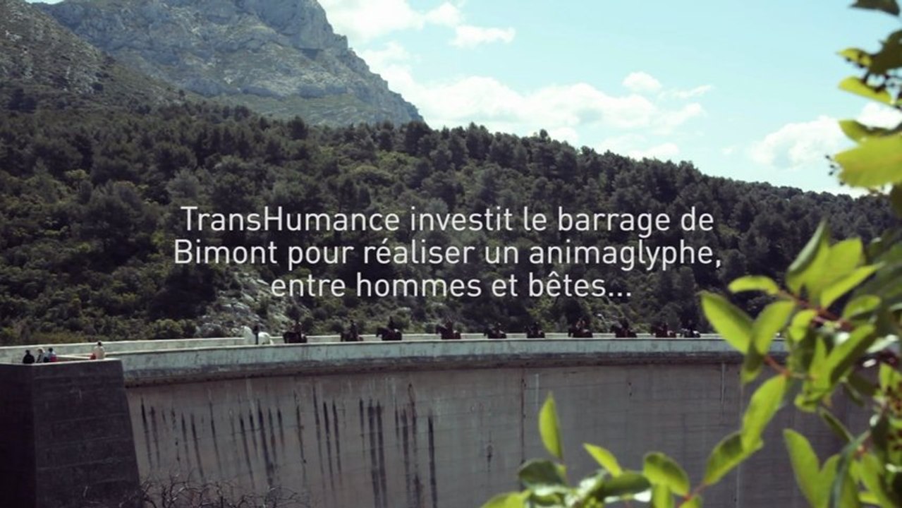 Animaglyphe au Domaine Départemantal de Roques-Hautes
