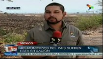 Pérdidas millonarias para el campo mexicano por la escasez de lluvia