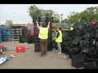 Les cagettes de Rungis