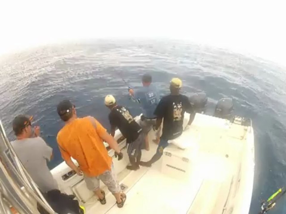 Popper fight GT 50 kG