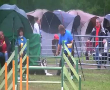 AGILITY Trophée par équipe 2013 La tribu de Dana JUMPING du Dimanche