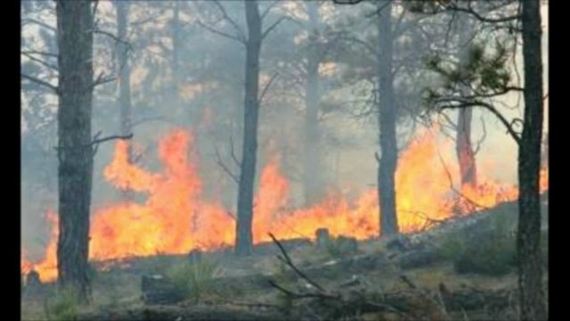 calentamiento global colegio rene cassin cpi dos dices