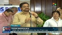 FARC califica como positivo balance tras seis meses de diálogos de paz