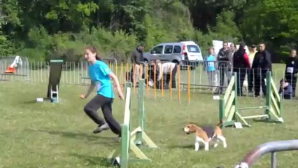Décibel Agility 1