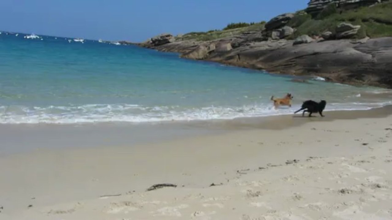 Plage 19-05-13