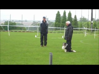 2013.05.18 - SAINTES - CONCOURS D'OBEISSANCE - DOWL'US DU ROYAUME D'ANGELIQUE