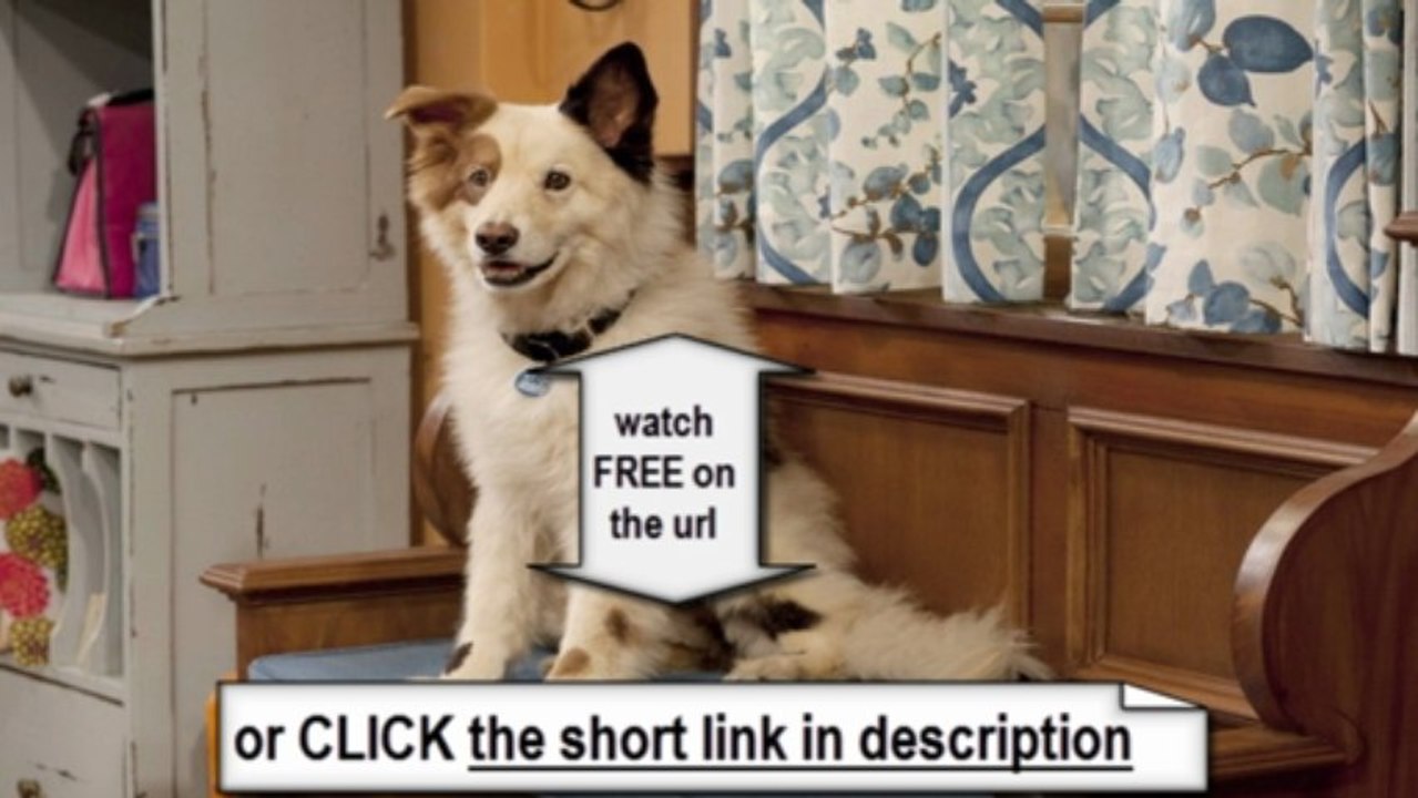 Dog With a Blog Season 1 Episode 1 - Stan of the House Full Episode