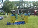 Fiscele Valence 2013 wmv