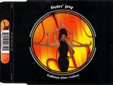 LIVIN' JOY - Follow the rules (extended under mix)
