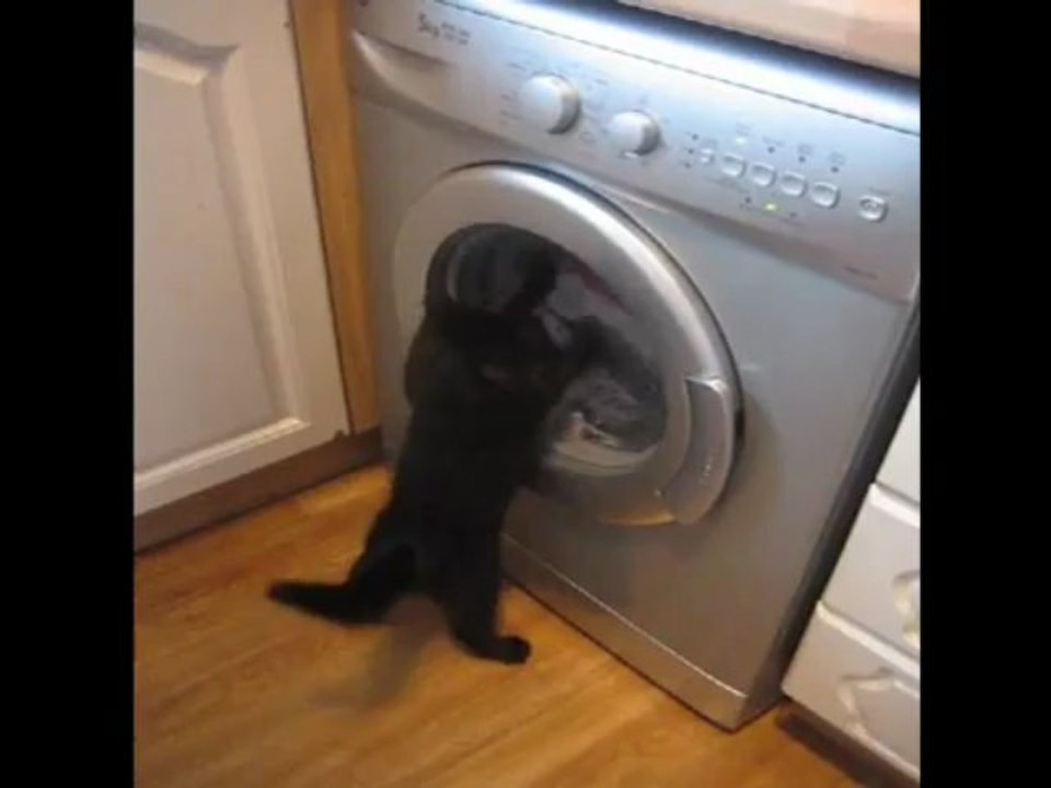 Robocop versus the washing machine