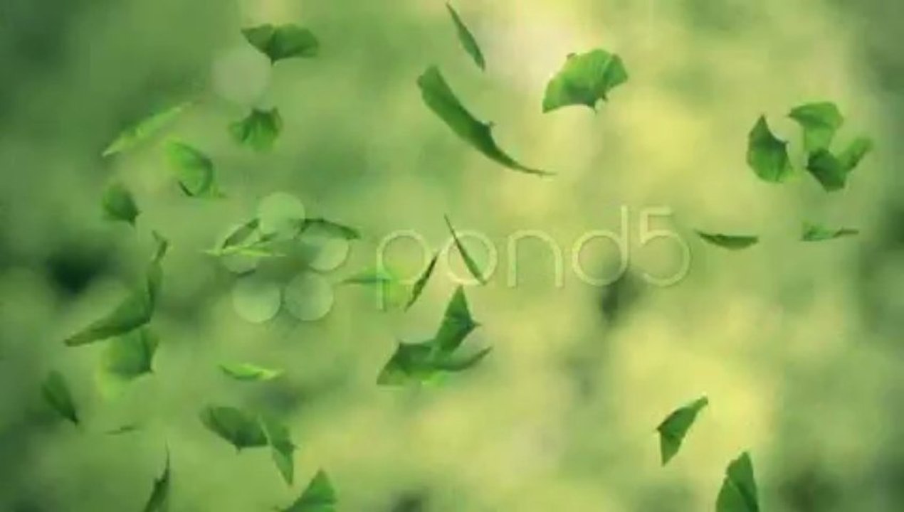 Gas meter,Gas Flowmeter,diaphragm gas meter,prepaid gas meter