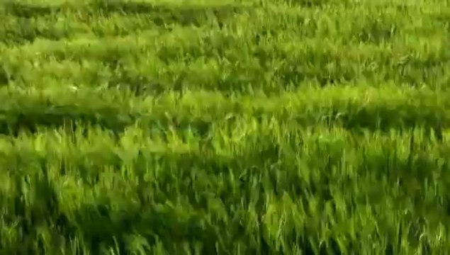 Gas meter,Gas Flowmeter,diaphragm gas meter,prepaid gas meter