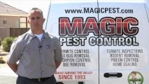 Termite Inspection Chandler | Magic Pest Control Call (602) 652-2021