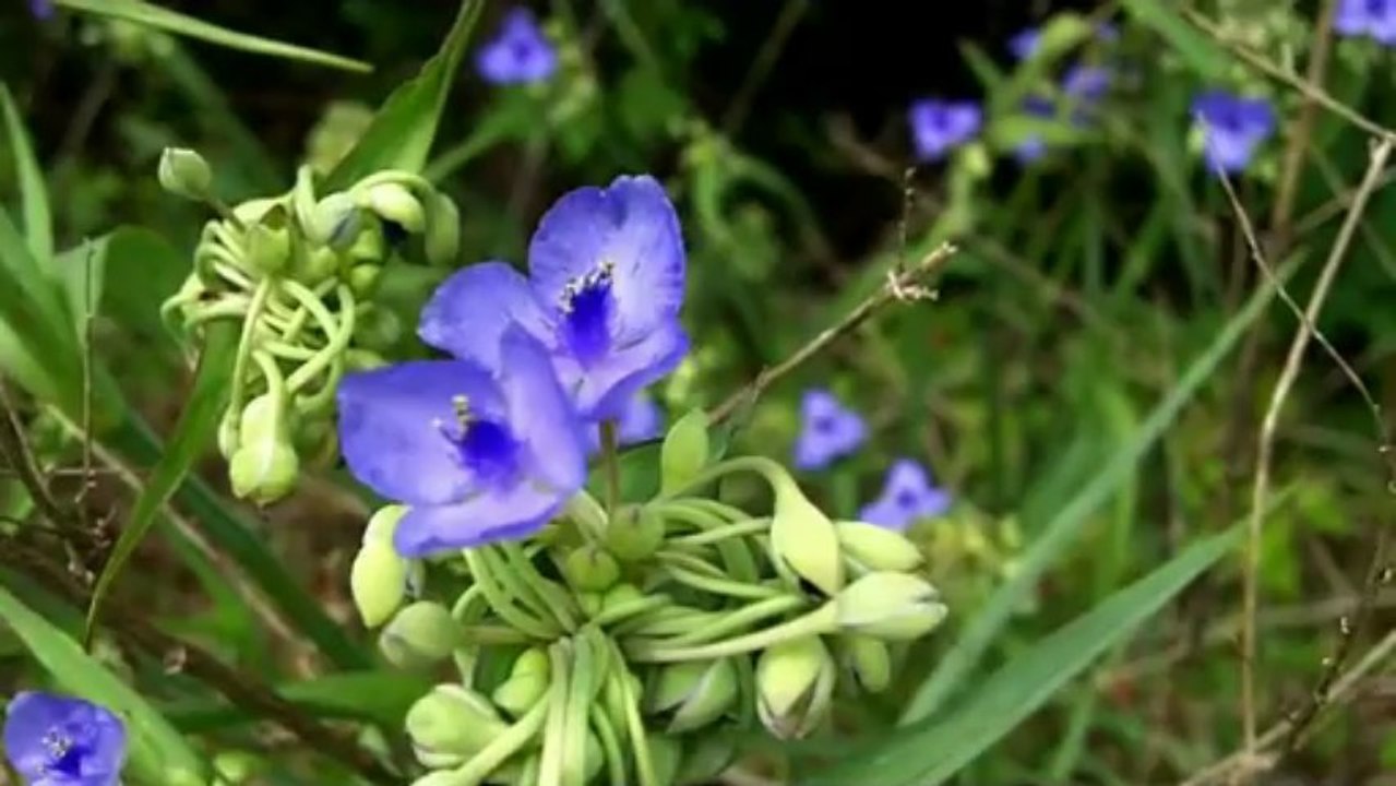 Gas meter,Gas Flowmeter,diaphragm gas meter,prepaid gas meter