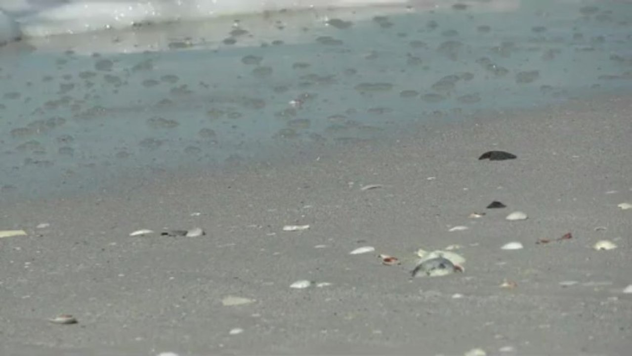 Gas meter,Gas Flowmeter,diaphragm gas meter,prepaid gas meter