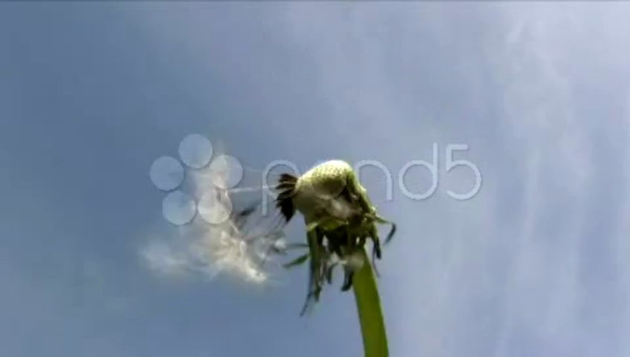 Gas meter,Gas Flowmeter,diaphragm gas meter,prepaid gas meter