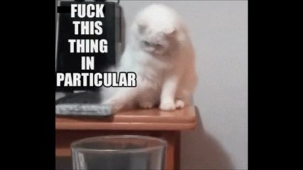 It Takes Two Loose Gold (DJ D Parody Remix)