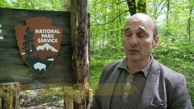 Les Loups Noirs du Parc Sainte Croix