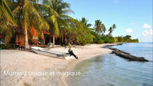ToucanVacances_ Vacances-aux-iles-de-la-Polynésie-Francaise-333