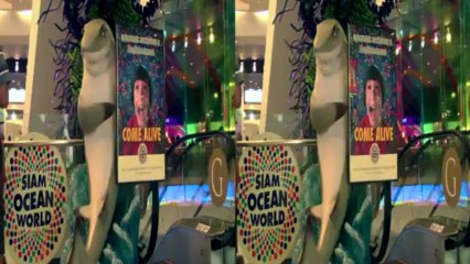 Shark Adventure in Thailand Trailer in 3D