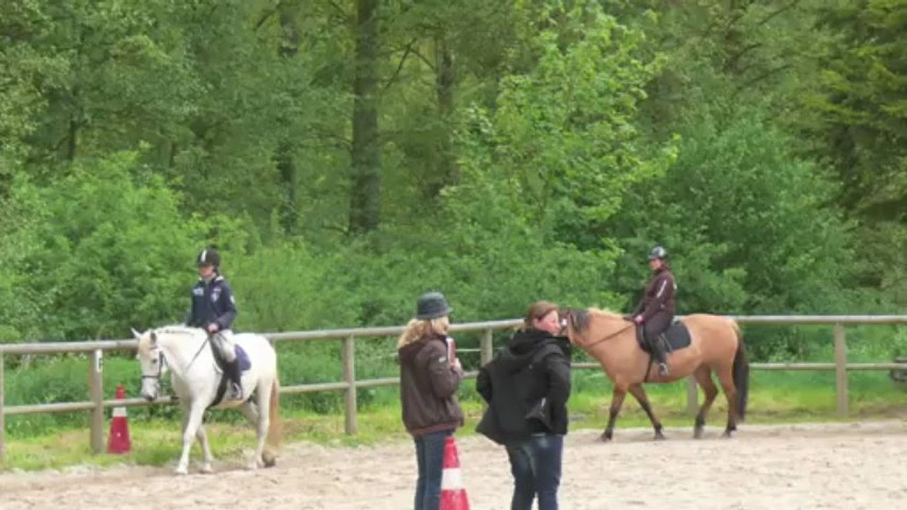 SONGEONS  cheval loisir