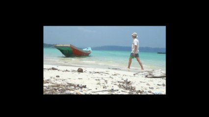 Signoj de viv' - i.d.c. Nova albumo / New album /  Nouvel album